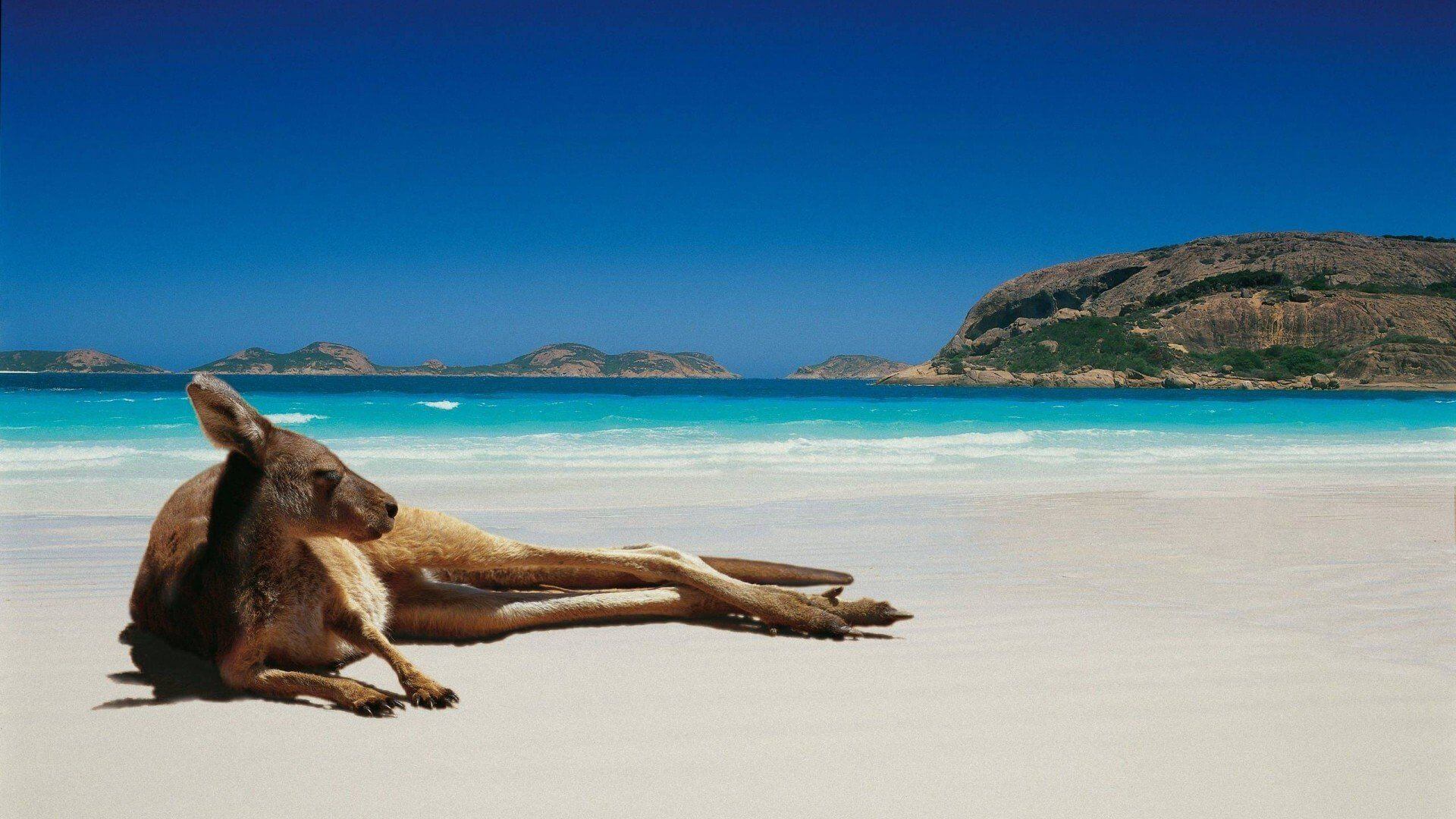 wisata pantai terbaik di australia