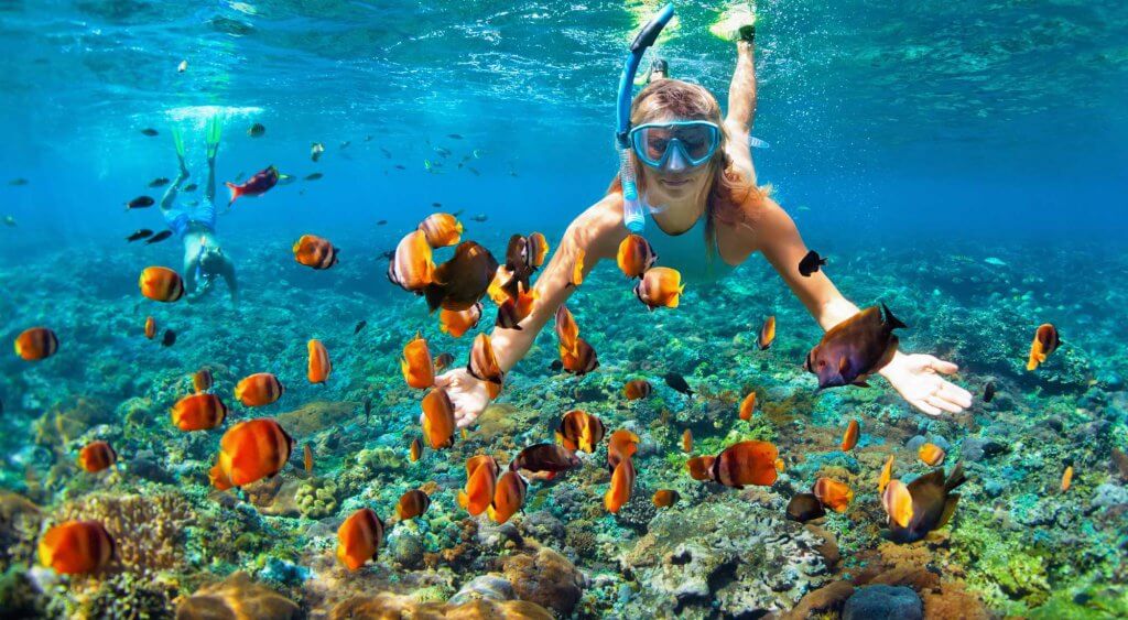 panduan wisata mykonos snorkeling
