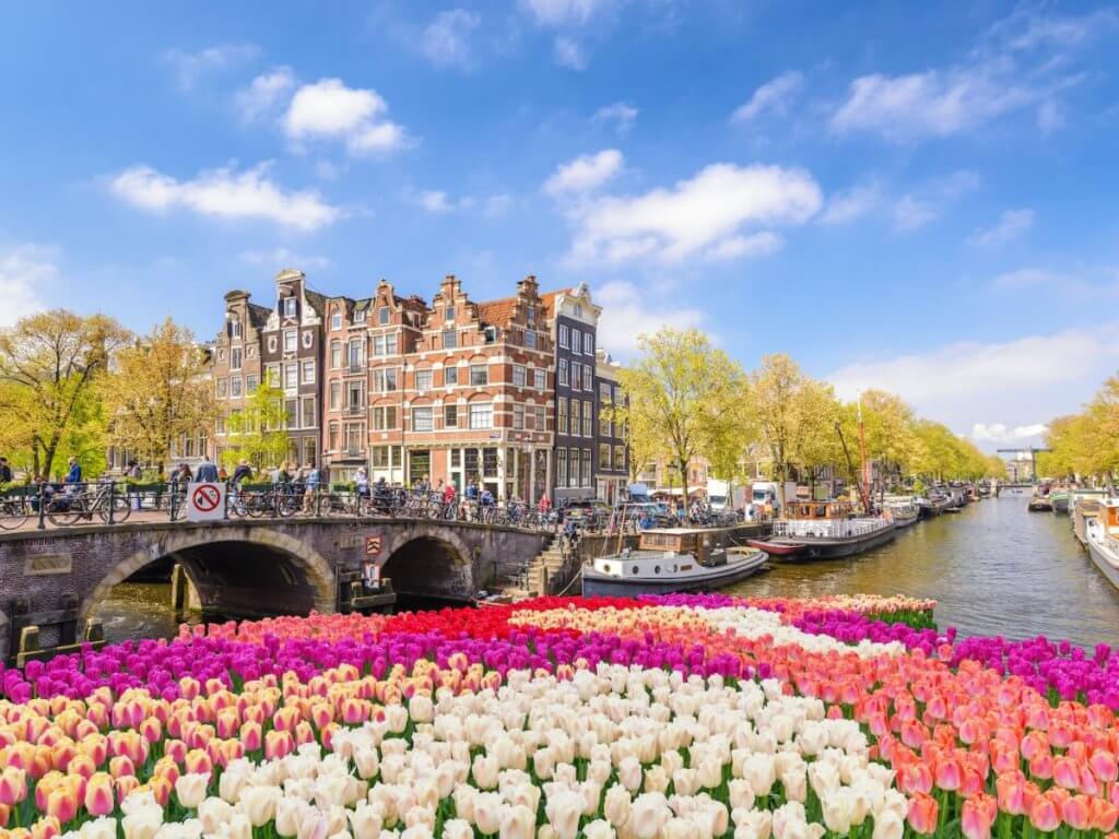 wisata tulip di belanda amsterdam