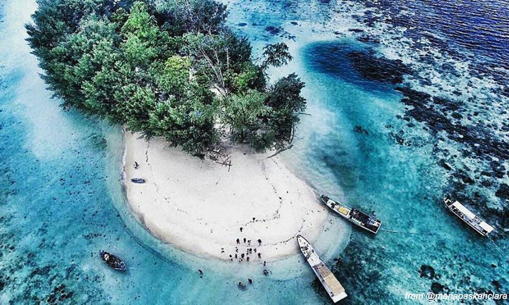 tempat wisata kepulauan seribu pulau dolphin