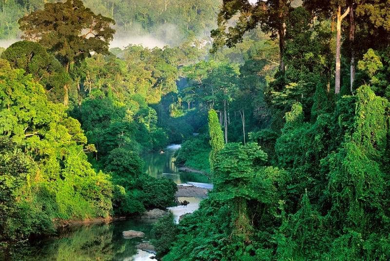 Dataran Rendah Kalimantan