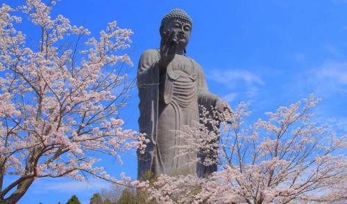 patung tertinggi di dunia Ushiku Daibutsu (Jepang)