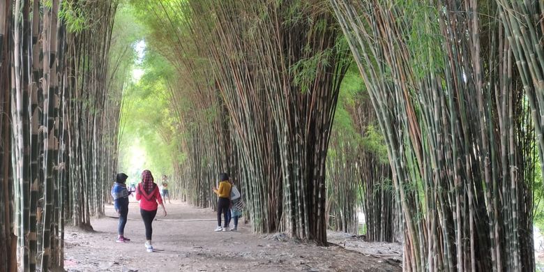 2. Hutan Bambu dan Taman Harmoni, Surabaya