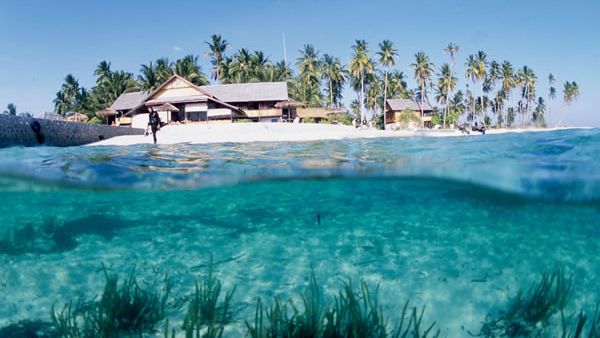 pulau paling indah di indonesia Pulau Wangi-wangi, Sulawesi Tenggara
