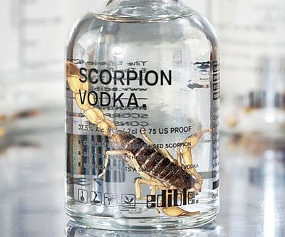 4. Scorpion Vodka