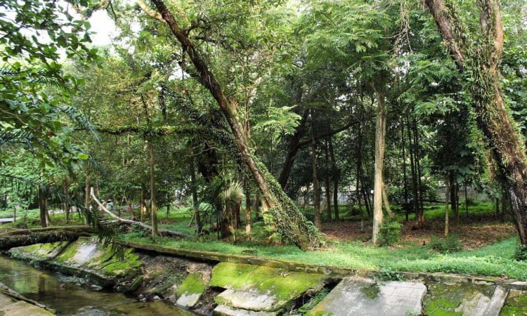 rekomendasi wisata di pekanbaru Hutan Kota Pekanbaru