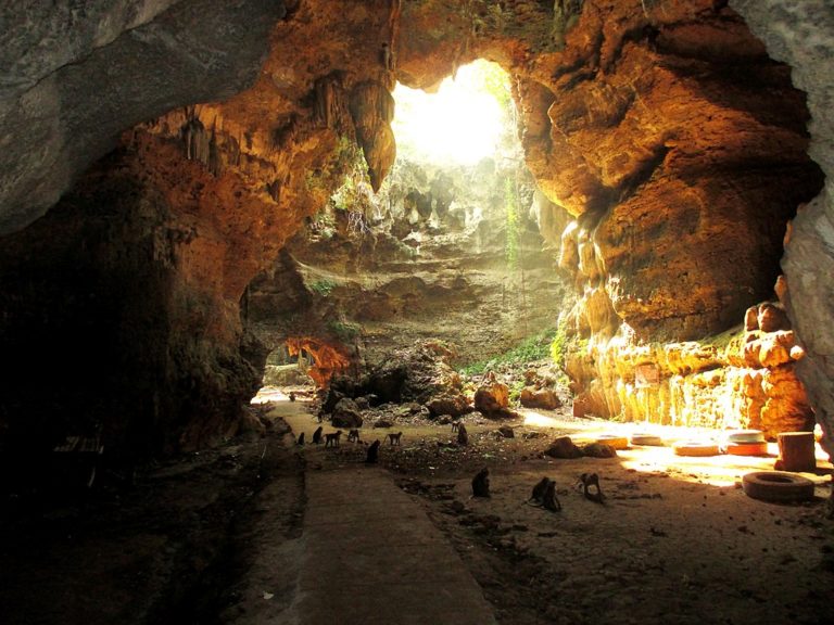7 Tempat Wisata Blora yang Menarik dan Wajib Dikunjungi