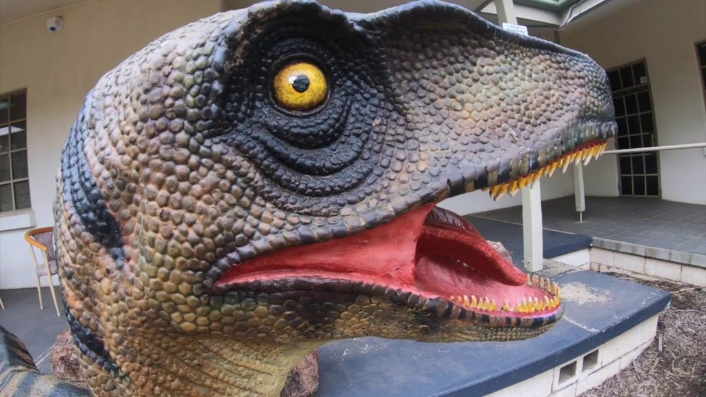 4. National Dinosaurus Museum