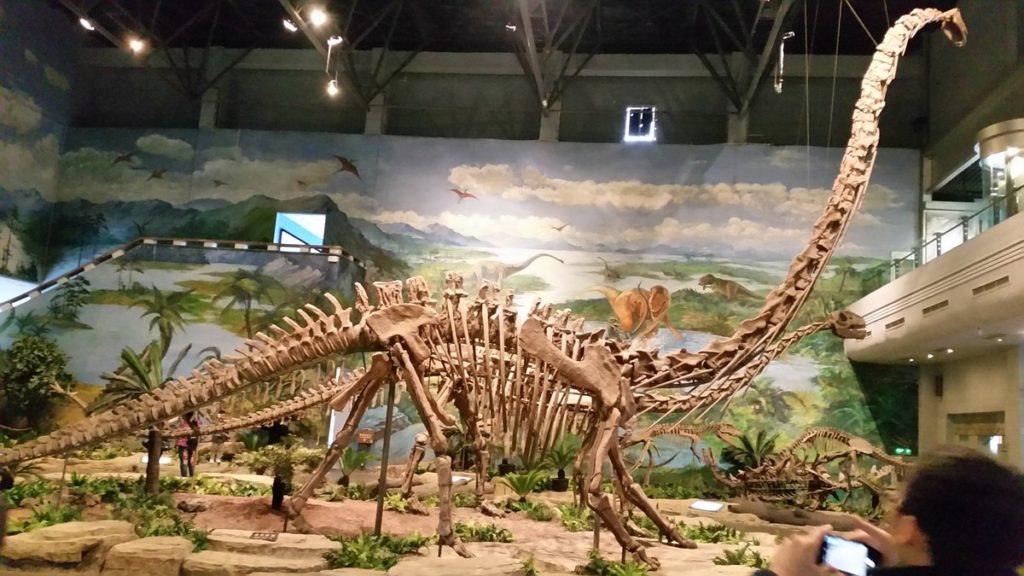 8. Zigong Dinosaur Museum