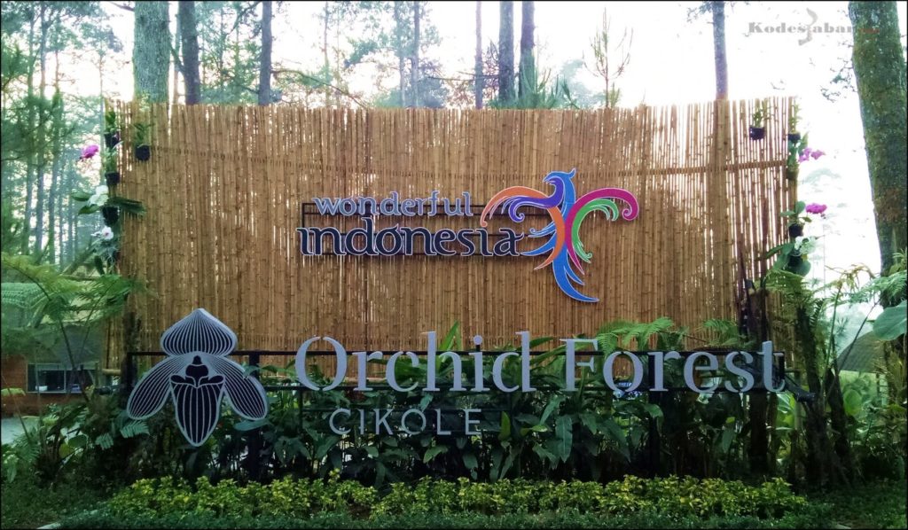 orchid forest cikole
