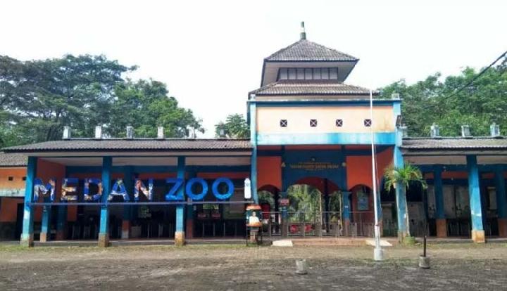 wisata kebun binatang simalingkar