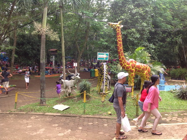 wisata kebun binatang simalingkar