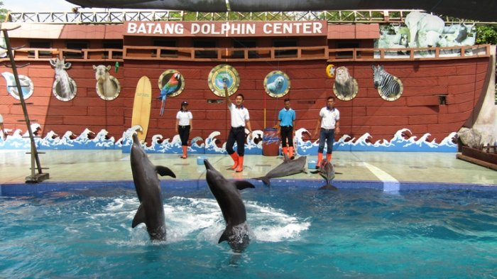 Dolphin center batang