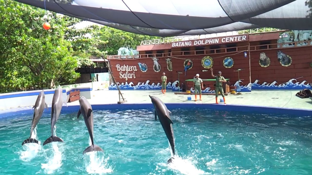Dolphin center batang
