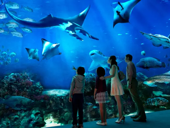 South East Asia (S.E.A.) Aquarium