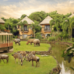 Bali Safari and Marine Park