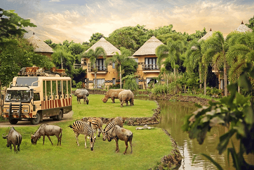 Bali Safari and Marine Park