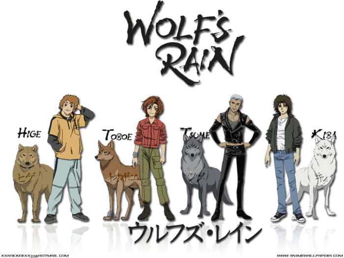 wolf rain