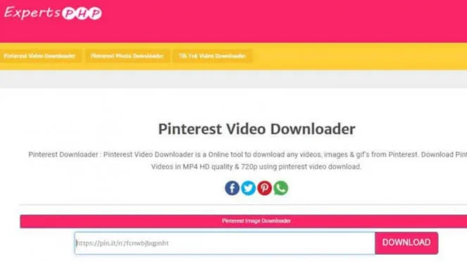 2. Mendownload video Pinterest melalui situs ExpertsPHP