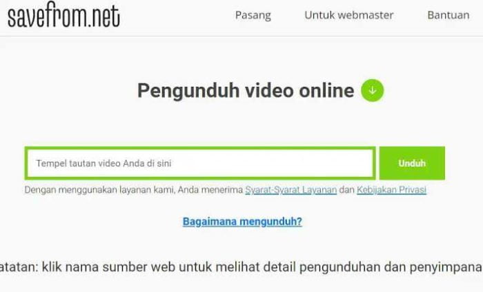 Situs savefrom.net
