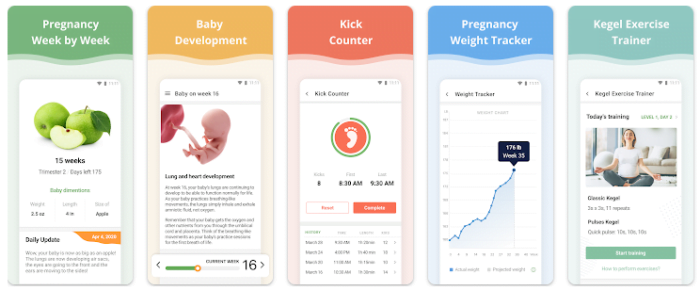 aplikasi ibu hamil Pregnancy Week by Week