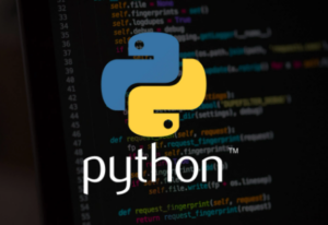 Cara Mudah Cek Versi Python di CMD untuk Pemula - EPIC99