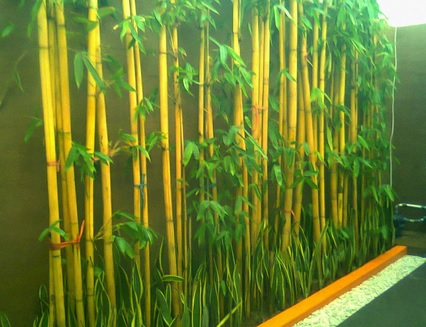 tanaman bambu air