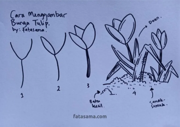 Menggambar Arsiran dari Bunga Tulip