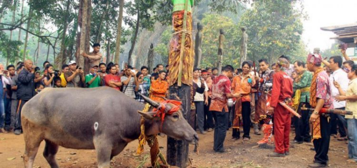 Penjelasan Ritual Tiwah di Kalimantan