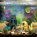 Hiasan aquarium simple