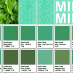 Rekomendasi Perpaduan Warna Mint yang Cocok