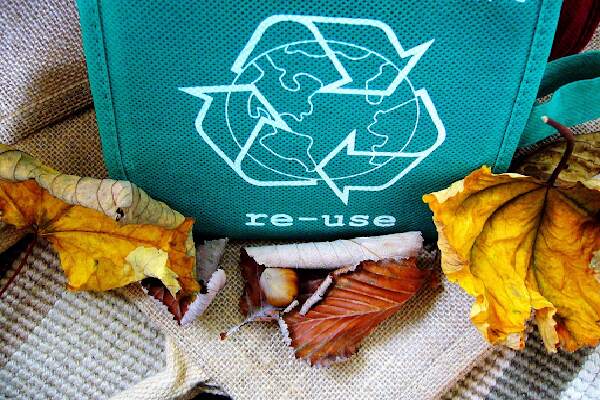 Cara Mengolah Sampah Organik