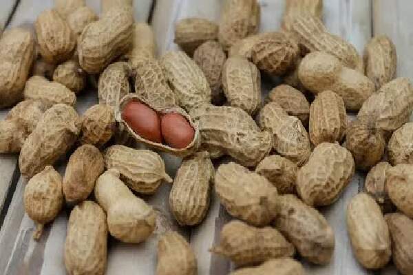 Cara Membuat Bumbu Kacang