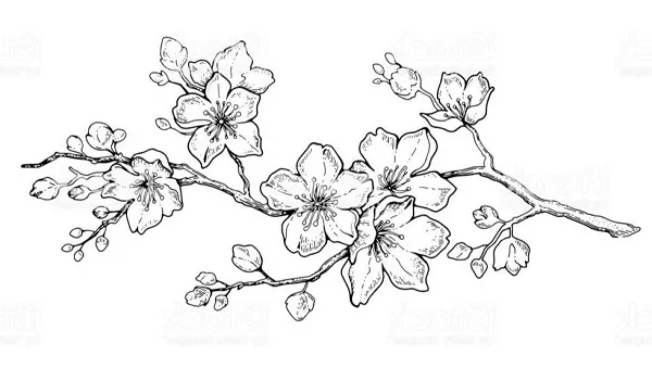 Contoh Sketsa Gambar Bunga yang Mudah