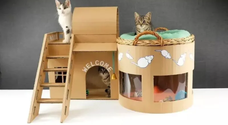 Cara Mudah Membuat Rumah Kucing dari Kardus