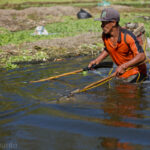 Cara Membuat Setrum Ikan dengan Mudah