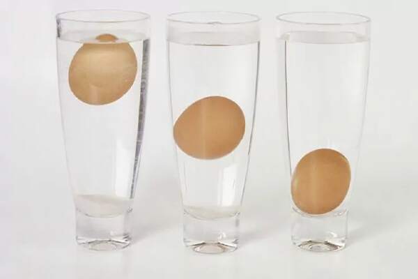 Telur Sehat Terapung Dalam Air