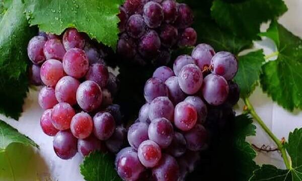 How To Make Candy Grapes
