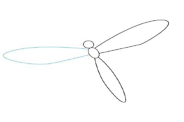 How To Draw Dragonfly Step By Step