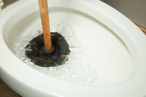 How to Use a Plunger on a toilet