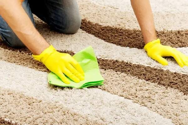 How To Get Cat Hair Out Of Carpet
