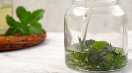 How to Make Peppermint Oil