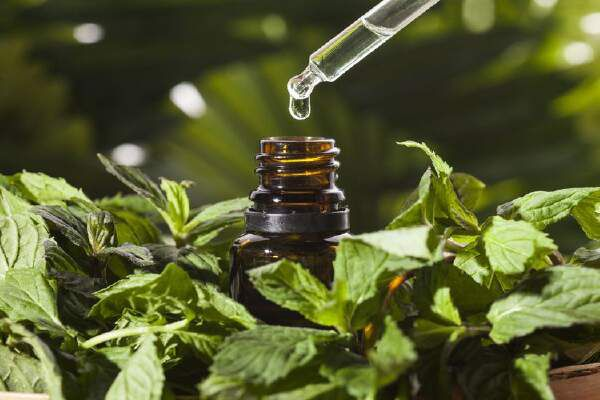 How To Make Peppermint Oil For Hair