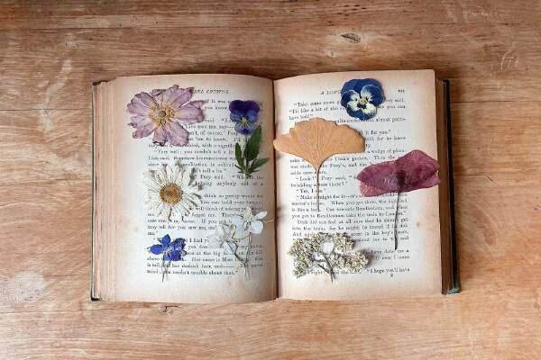 How To Make Pressed Flowers