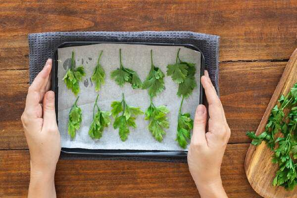 How To Dry Parsley