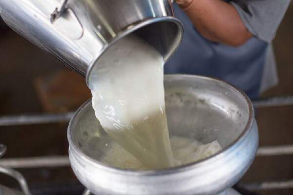 How To Pasteurize Goat Milk