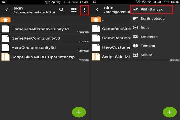 Cara Memasang Script Skin ML 