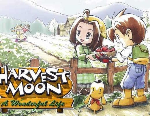 Panduan Harvest Moon Wonderfull Life