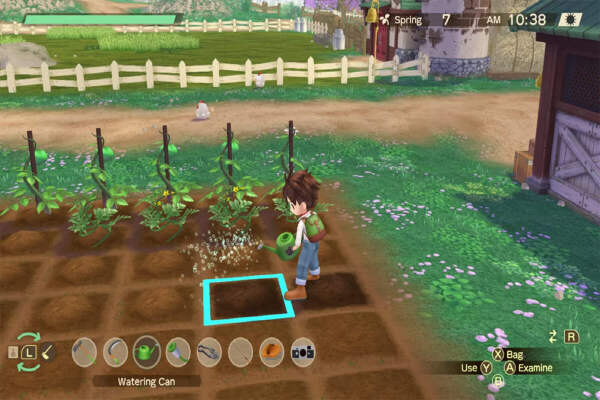 Panduan Harvest Moon Wonderfull Life