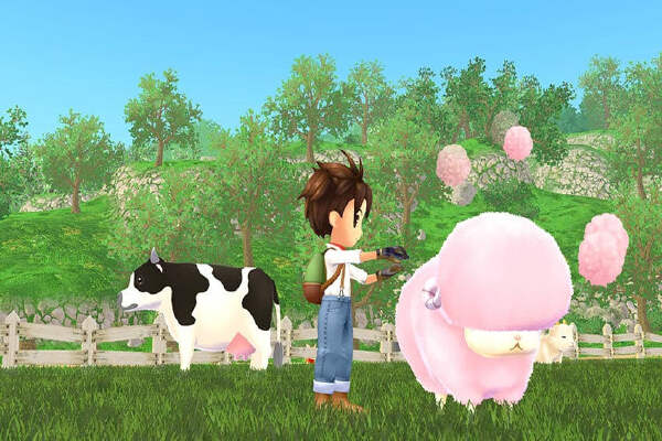 Panduan Harvest Moon Wonderfull Life